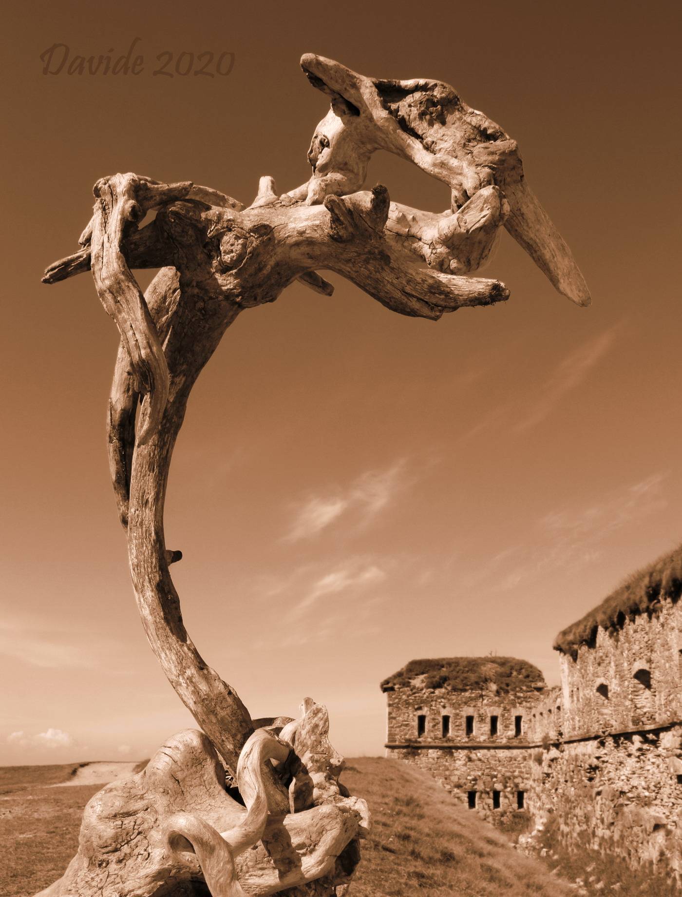 Erminio Tansini, “Senza titolo”, 2020, legno rinvenuto alle Cinque Terre, nella Valnure, nella Valtidone e nella Valtrebbia. Scatto eseguito da Davide Tansini presso il Forte Centrale di Tenda durante la sessione fotografica “Forme sfuggenti #67 – Fort Central” (settembre 2020). Fotografia esposta nelle mostre “Memorie” (Milano-Cremona-Lodi-Piacenza, ottobre 2020-gennaio 2021), “Luoghi insoliti” (Lodigiano, agosto-settembre 2021), “Itinerari” (La Spezia-Verona-Massa-Parma-Brescia-Alessandria, ottobre-dicembre 2021), “Intrecci” (Sarzana, giugno 2022) e “Intuizioni impreviste” (Mantova-Novara-Reggio nell’Emilia, ottobre 2022). © Davide Tansini